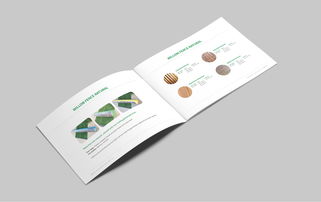 极简至上 济宁工艺品公司画册的图文版式设计艺术