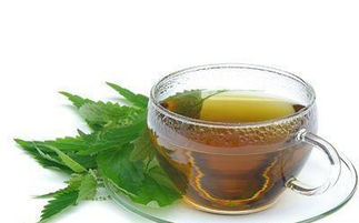 粮香入盏 探秘“粮食茶”的独特风味